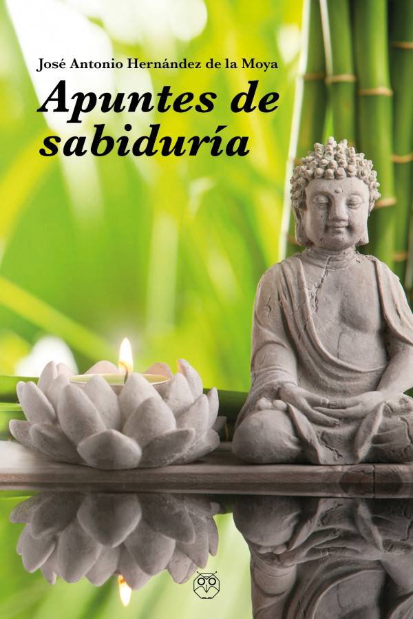 Apuntes de sabiduría (una guía para el despertar de la consciencia)